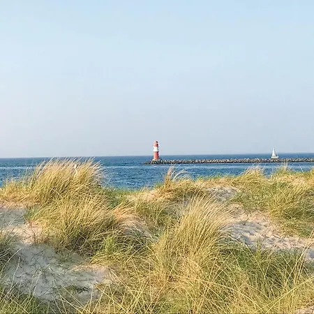 Sanddorn Gollwitz